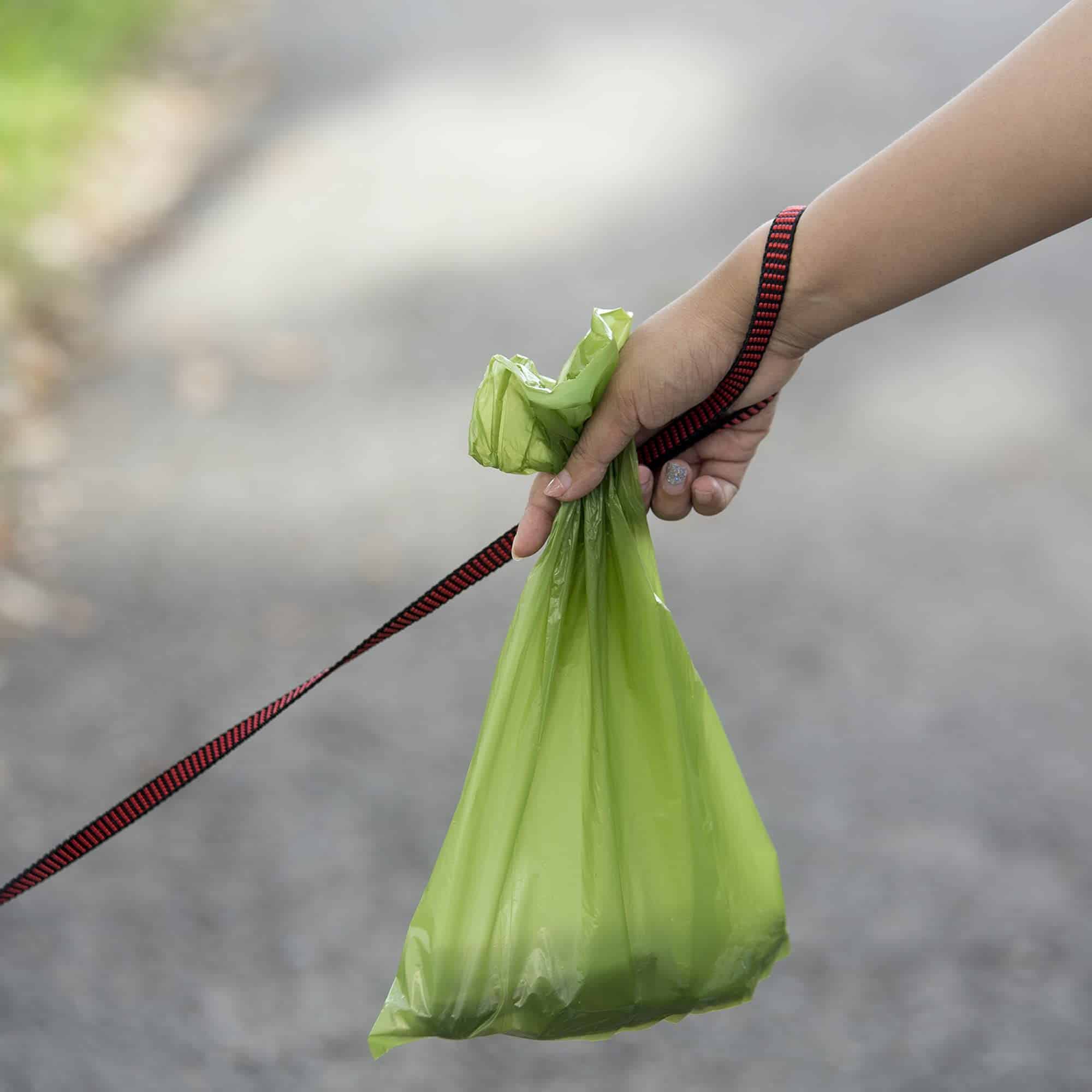 Pethology Juego de Bolsas para Perros - Bolsas Duraderas e - Imagen 5