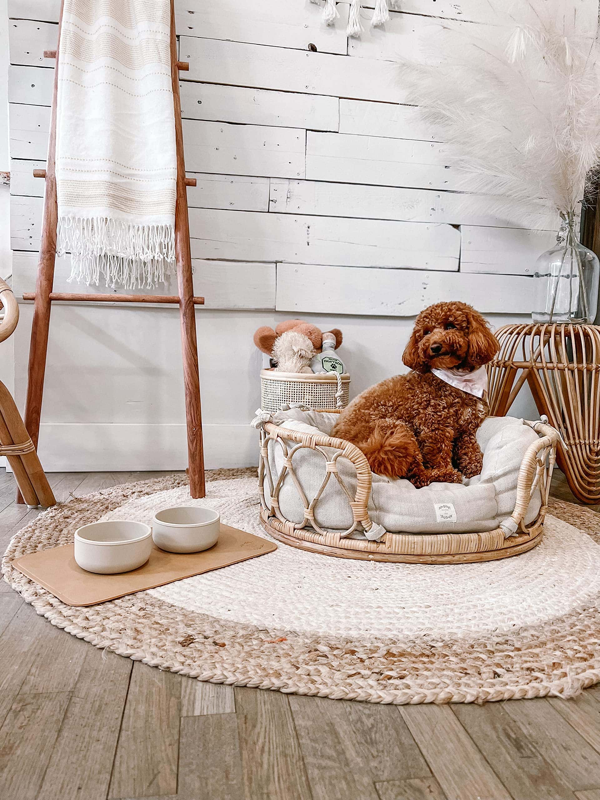 Elegante Juego de Comedero de Silicona para Mascotas - Imagen 4