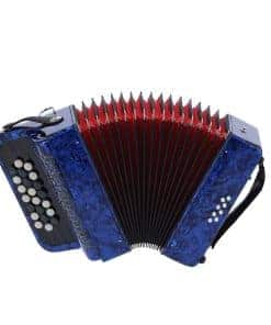 Gaeirt 22 Teclas 8 Bajos Acordeón Profesional, Acordeón