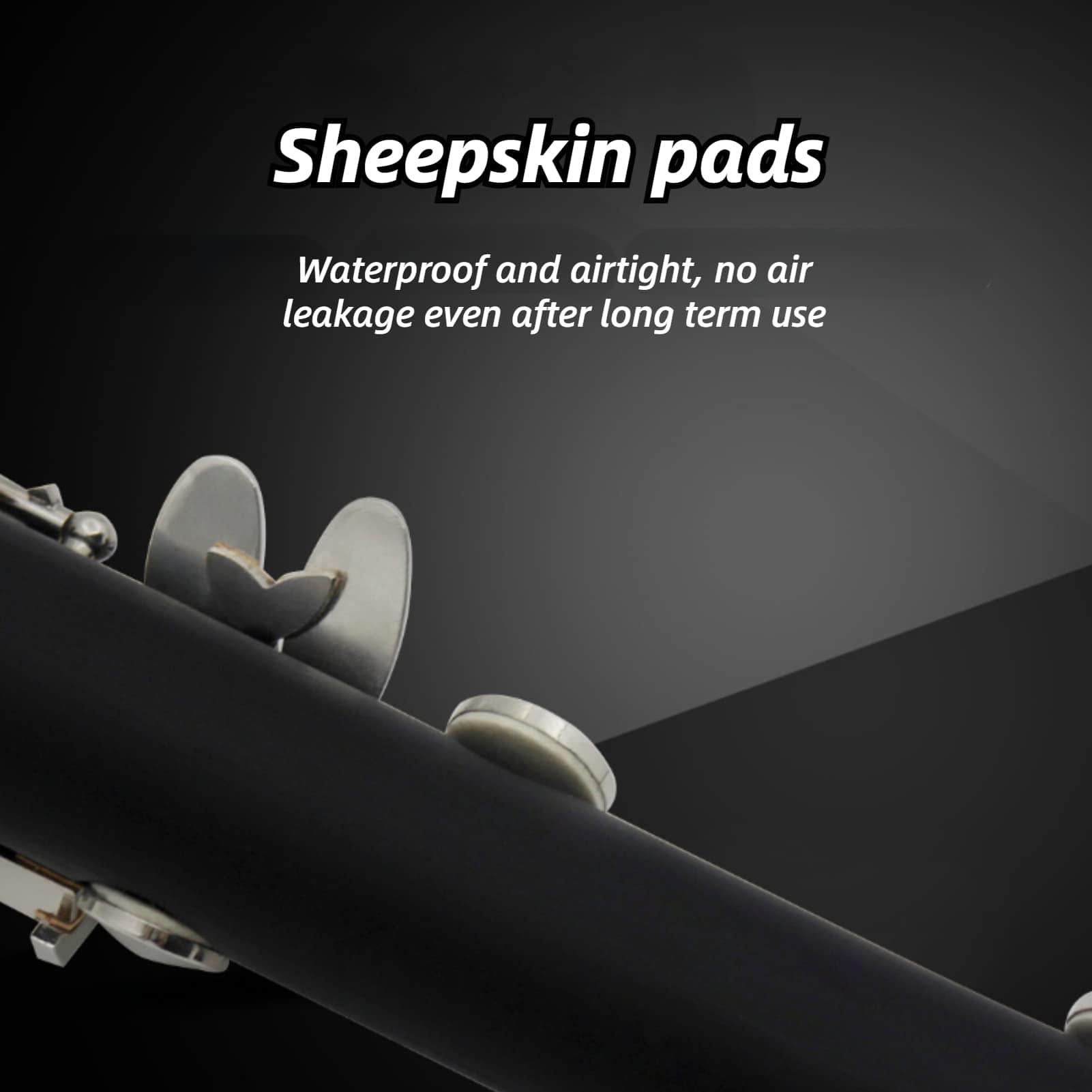 Clarinete Bb para Principiantes, 17 Llaves Nivel de - Imagen 7