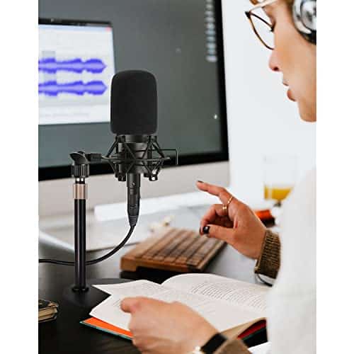 Soporte de micrófono de escritorio -Rigych - Imagen 8