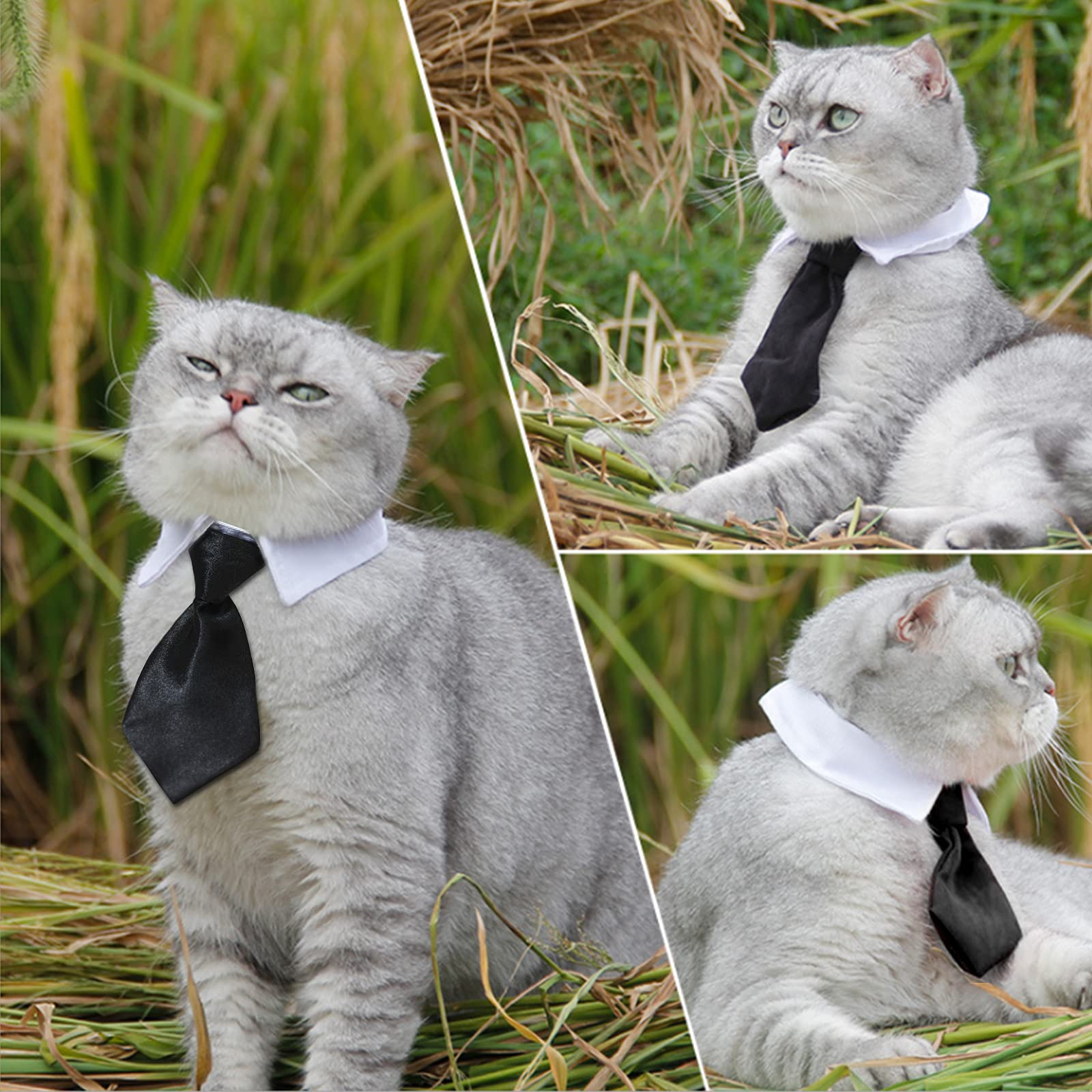 Sombrero y Pajarita para Perro HACRAHO, 3 Piezas Sombrero y - Imagen 5