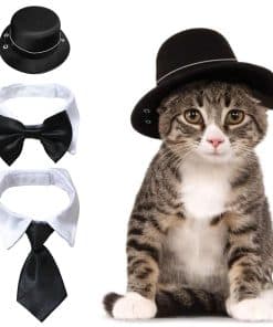 Sombrero y Pajarita para Perro HACRAHO, 3 Piezas Sombrero y