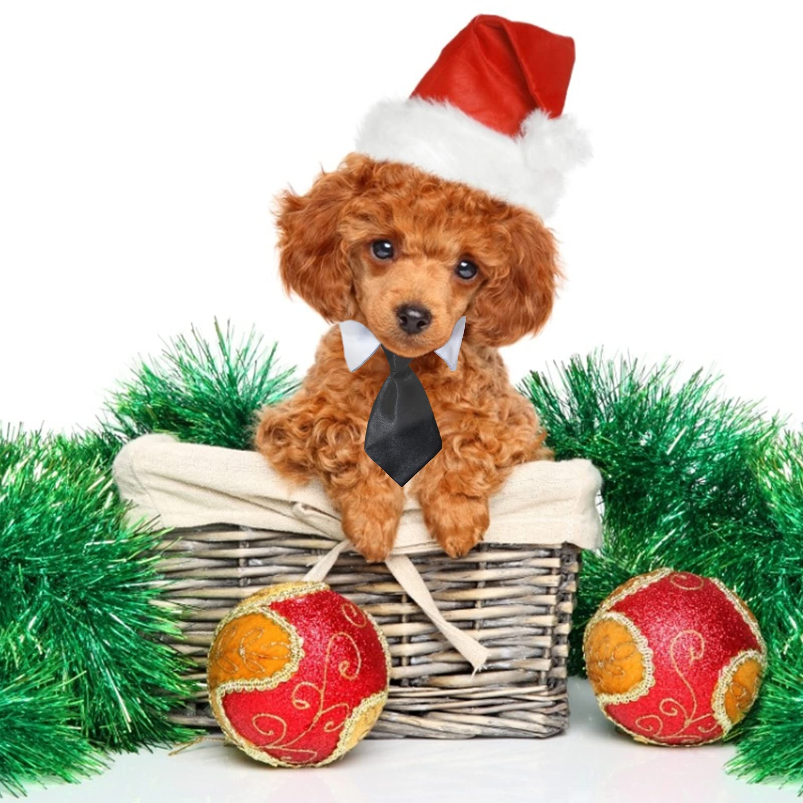 Sombrero y Pajarita para Perro HACRAHO, 3 Piezas Sombrero y - Imagen 7