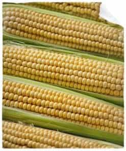 Manta de Maíz Divertida para Sofá Sillas Cama, Buena Manta