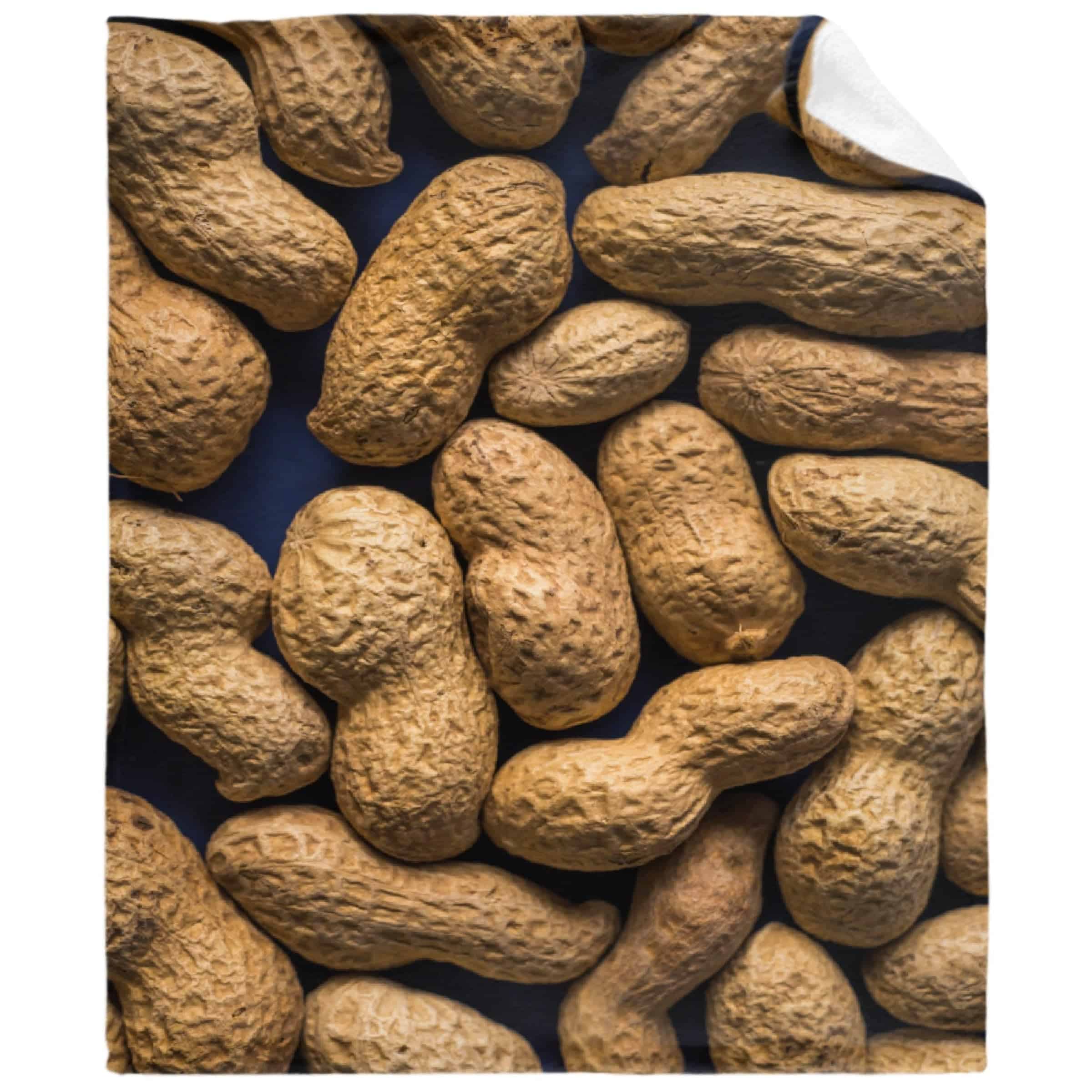 Manta de Cacahuate Divertida para Sofá, Sillas, Cama, Buen