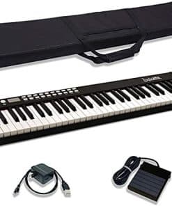 Dulcette DC11 61-Teclado de Piano Portátil de 61 Teclas |