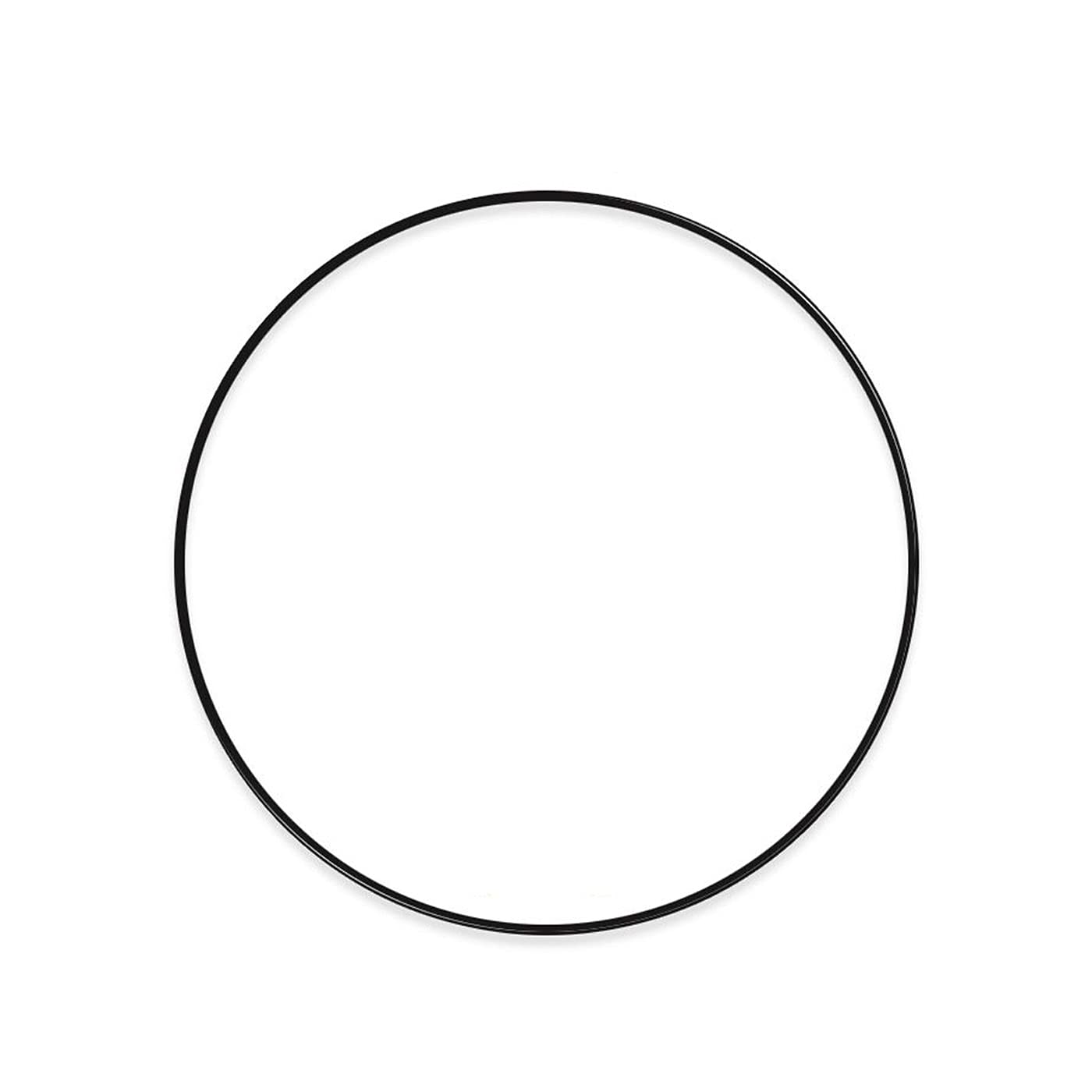 Correa de transmisión avanzada Rega - EBLT