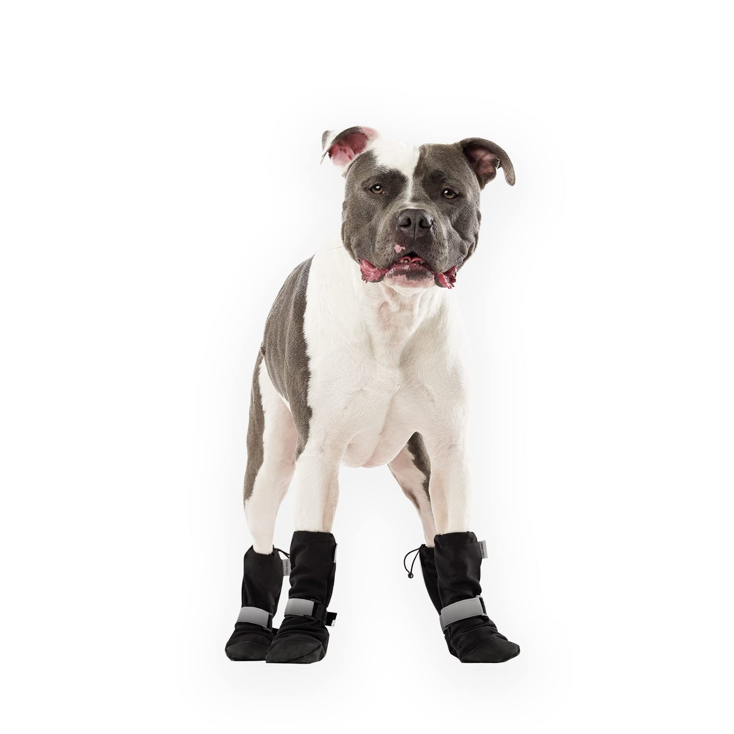Botas de Invierno para Perros Canada Pooch - Protección