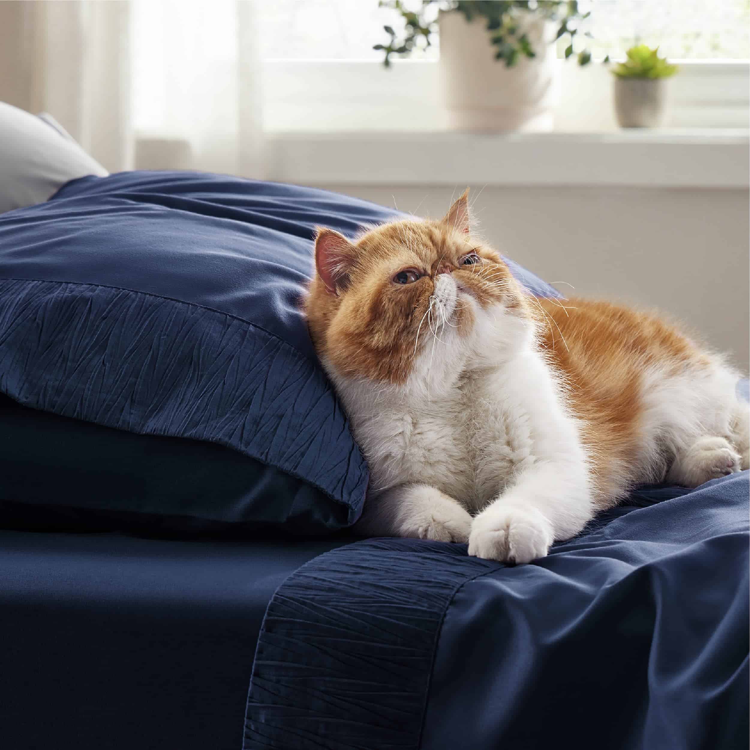 Juego de sábanas individuales extra largas Bedsure para - Imagen 5