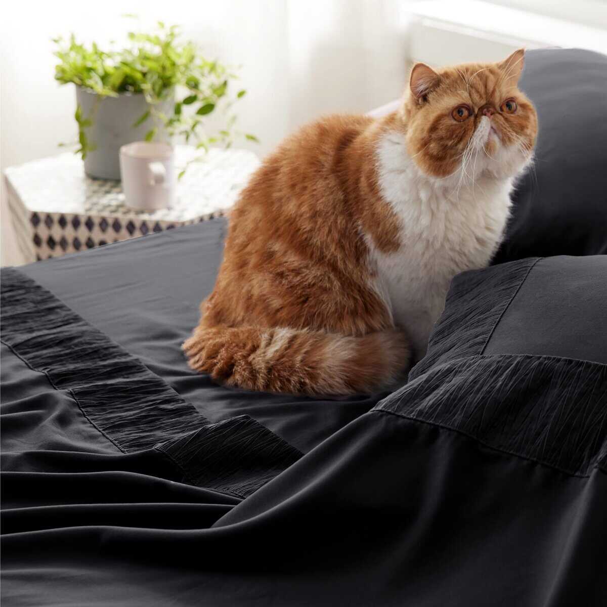 Juego de Sábanas California King Bedsure - 4 -Negro - Imagen 5