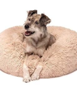 PetSwag Cama calmante para la ansiedad de mascotas - Cama