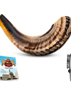 Instrumento Cuerno Shofar - RAM Shofar Ángeles Instrumento