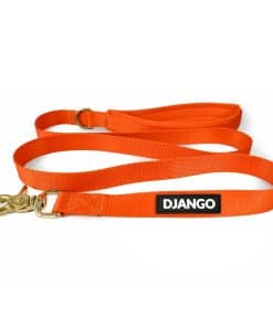 Correa de Perro de Aventura DJANGO - Resistente, Cómoda y