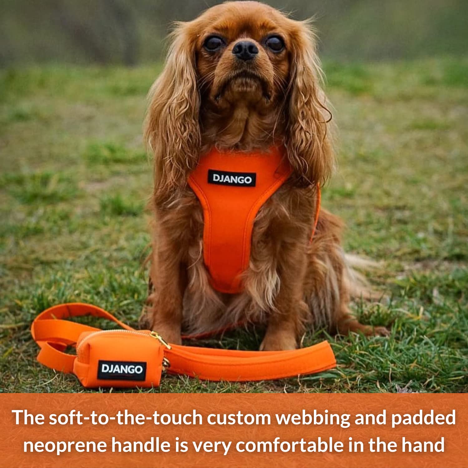 Correa de Perro de Aventura DJANGO - Resistente, Cómoda y - Imagen 4