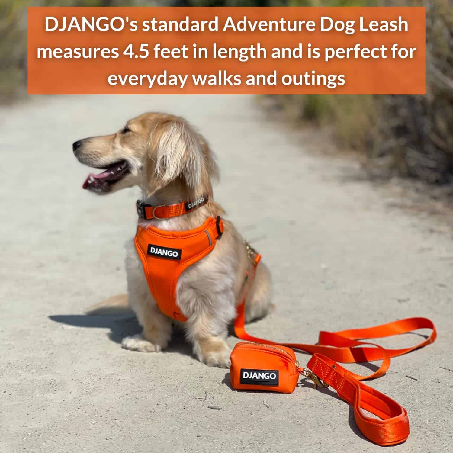 Correa de Perro de Aventura DJANGO - Resistente, Cómoda y - Imagen 3