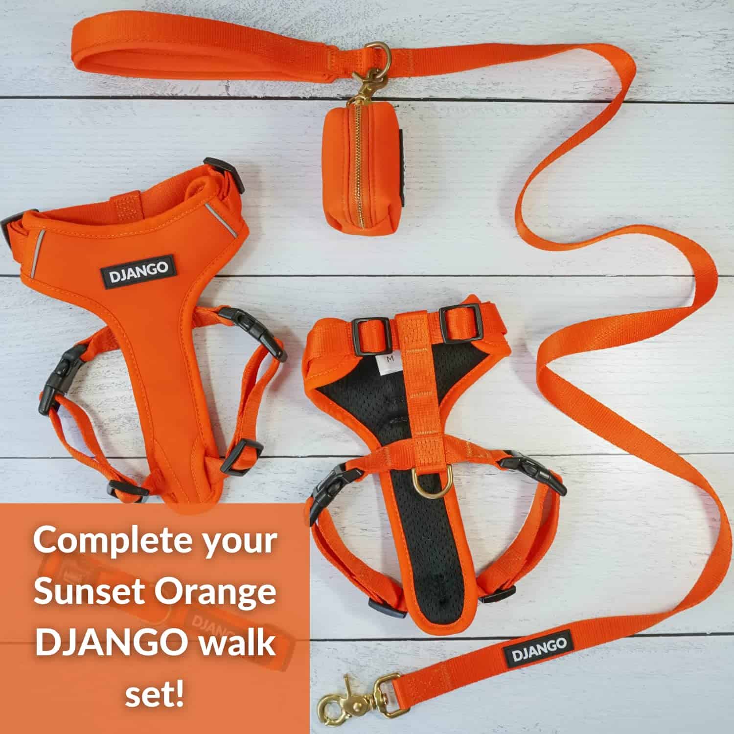 Correa de Perro de Aventura DJANGO - Resistente, Cómoda y - Imagen 8