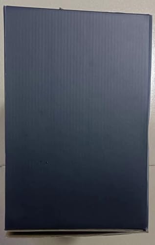 Curso de obstáculos de Ninja Warrior para niños en el patio - Imagen 9