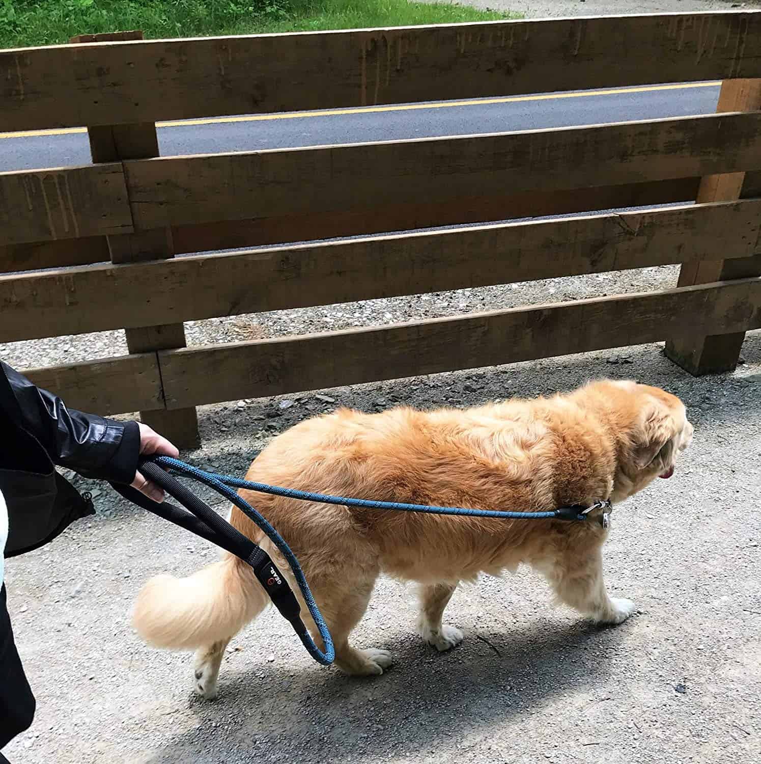 Correa para perros Enthusiast Gear con mosquetón de bloqueo - Imagen 9
