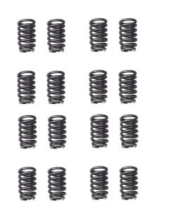 BH-Motor Juego de 16 Resortes de Válvulas Nuevos para
