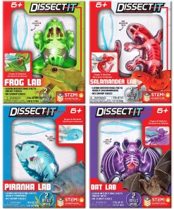 Kit de Disección para Niños, Kit de Ciencia de Disección