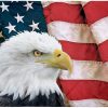 INTIMO Manta patriótica de águila calva americana con