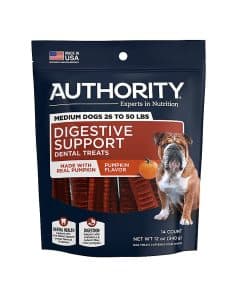 Premio Dental AUTHORITY con Calabaza 12 OZ