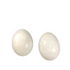 Huevos de Obatala | Pack de 2 Huevos de Mármol Blanco
