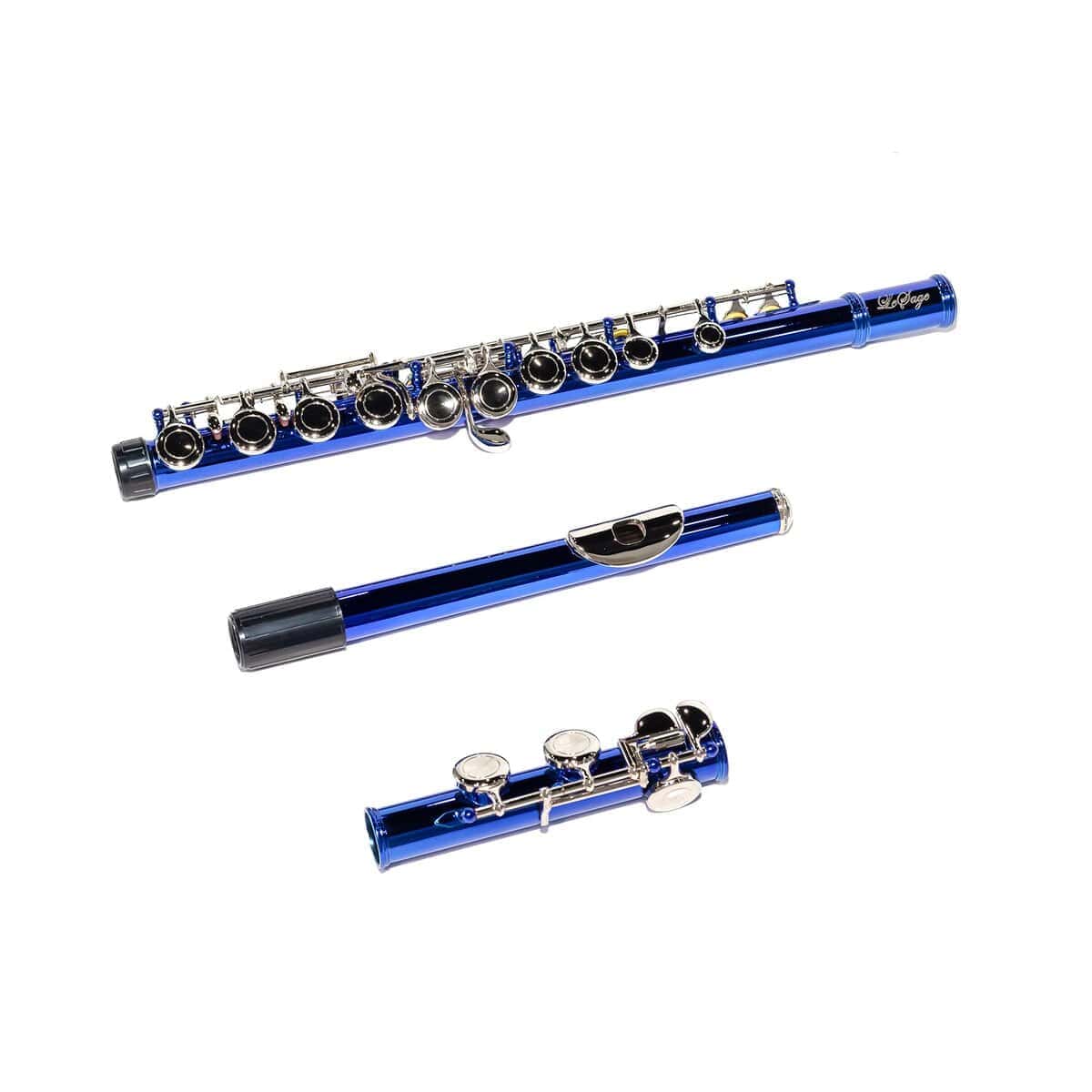 Flauta LeSage en Do de 16 llaves con agujeros cerrados de - Imagen 7