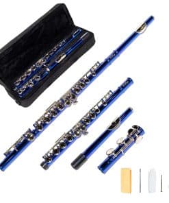 Flauta LeSage en Do de 16 llaves con agujeros cerrados de