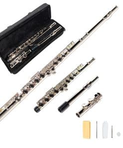 Flauta Cerrada de Níquel Plateado LeSage C de 16 Llaves