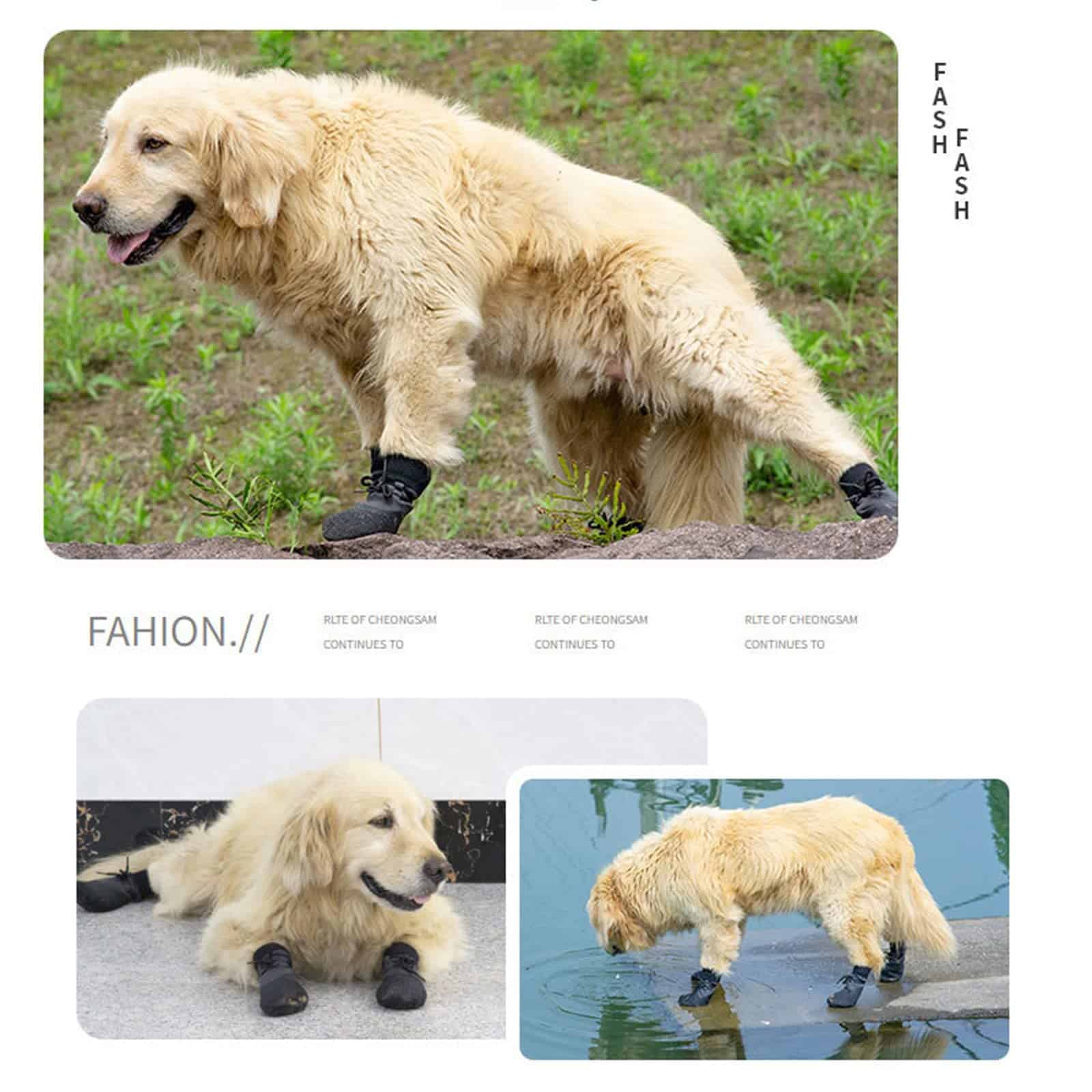 Zapatos para Perros Avaner Exterior Antideslizante Botines - Imagen 5