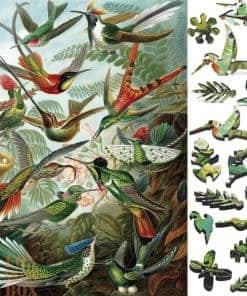 Rompecabezas de madera para adultos - -Colibríes