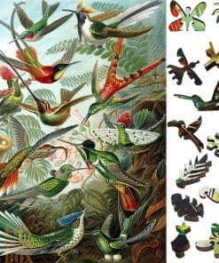 Rompecabezas de madera para adultos - -Colibríes