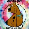 Manta de lanzamiento INTIMO Scooby Doo Where are You? Tinte