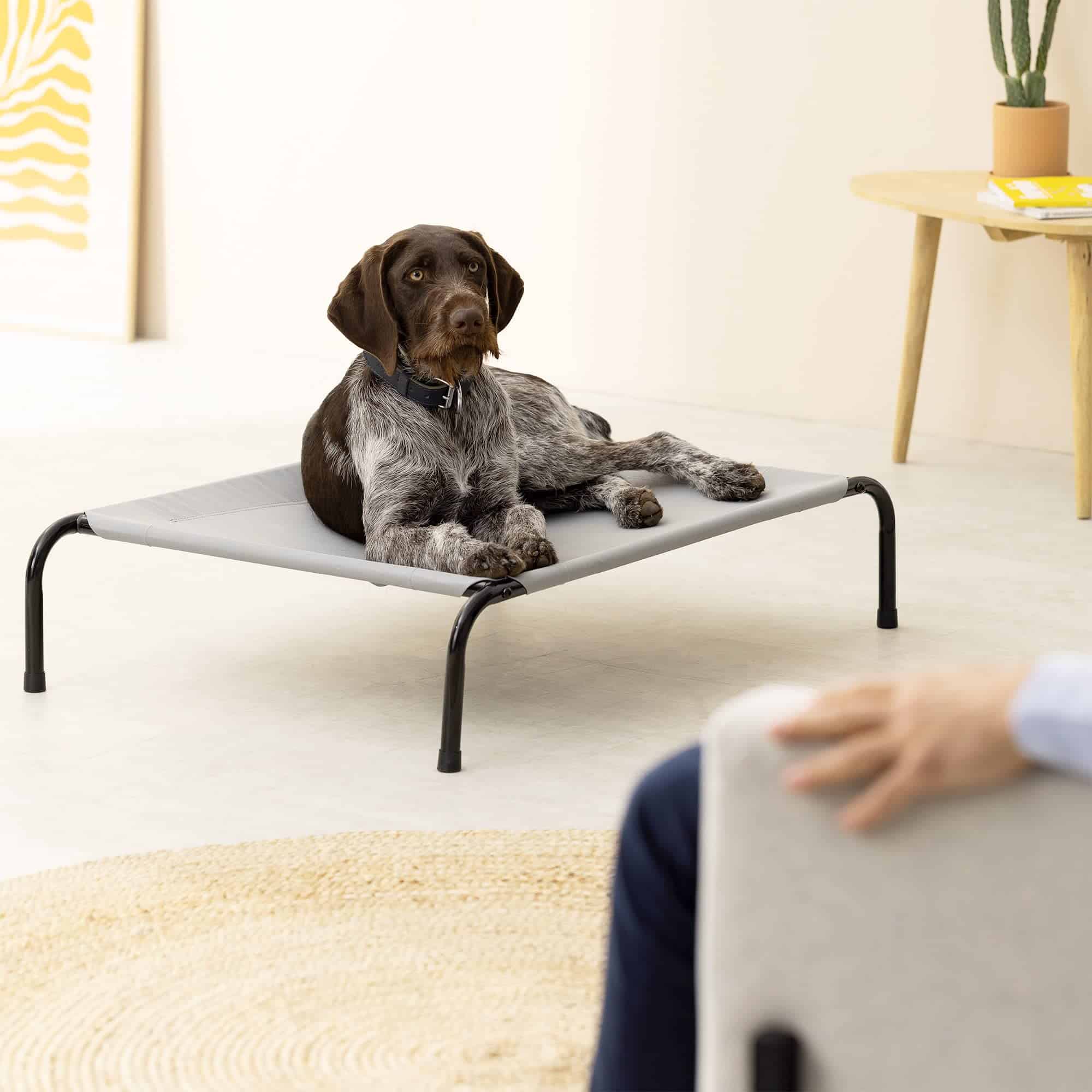 Cama elevada para perros Navaris - Cama elevada refrigerada - Imagen 4