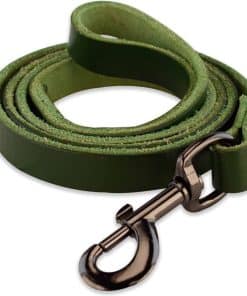 Correa de Cuero para Perros Brute Strength - 4-7ft - Verde