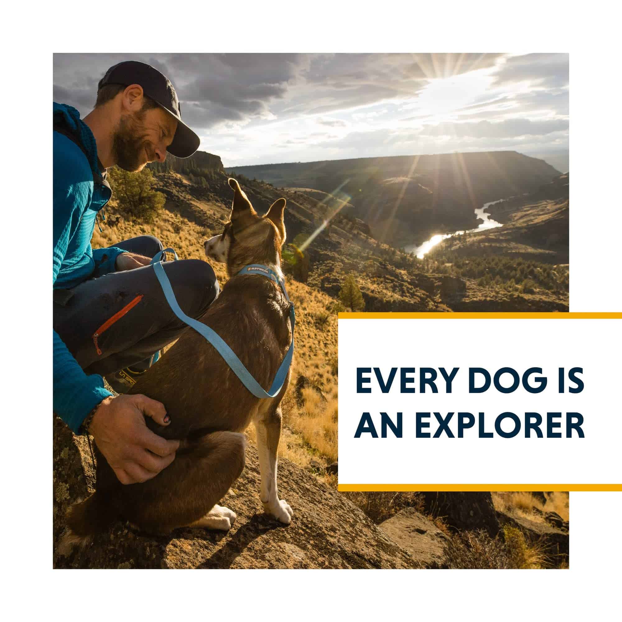 Collar para perro Ruffwear, Hi & Light, Collar minimalista - Imagen 10