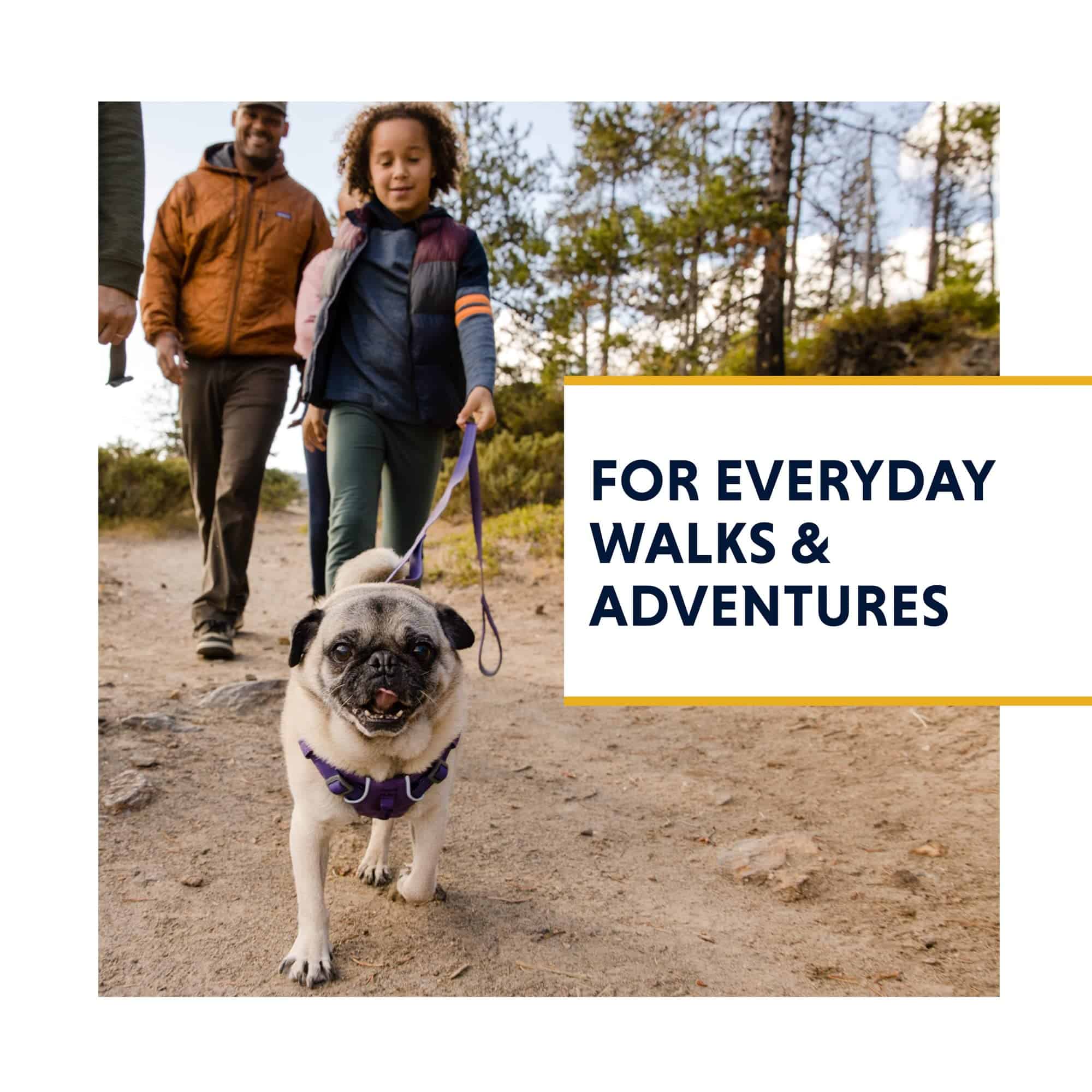 Correa para perros Ruffwear Front Range, correa de 1,5 - Imagen 3