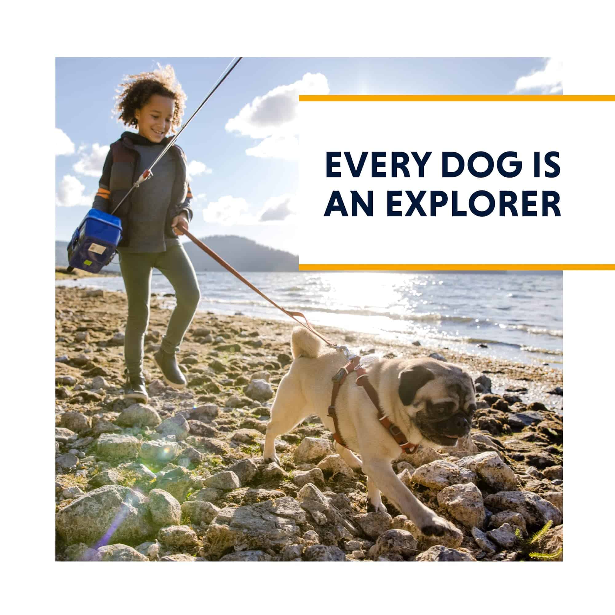 Correa para perros Ruffwear Front Range, correa de 1,5 - Imagen 10