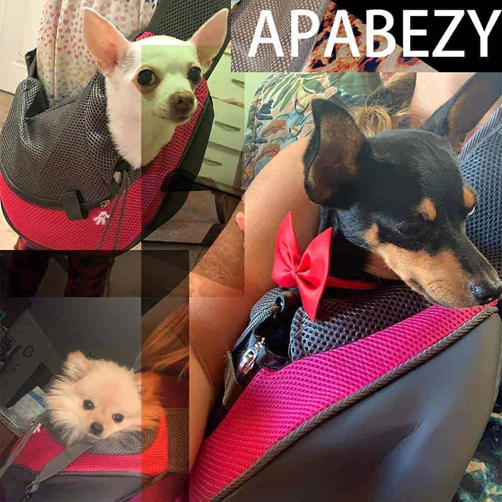 APABEZY Bolso Portador para Perros y Gatos - Correa de - Imagen 5