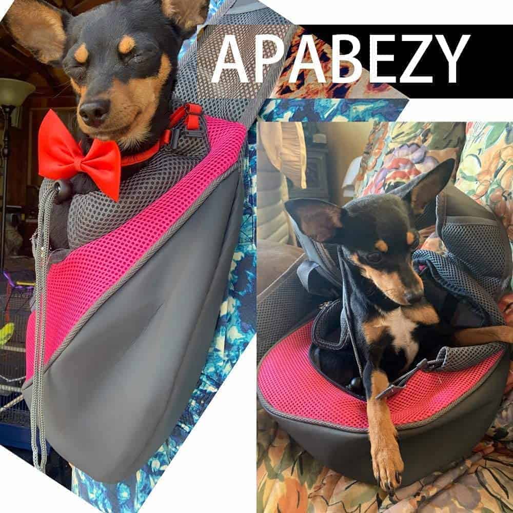 APABEZY Bolso Portador para Perros y Gatos - Correa de - Imagen 4
