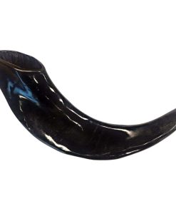 Shofar Tradicional de Israel, Instrumento -(10"-12")