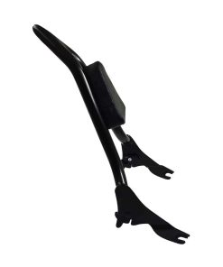 Respaldo de pasajero trasero desmontable con almohadilla