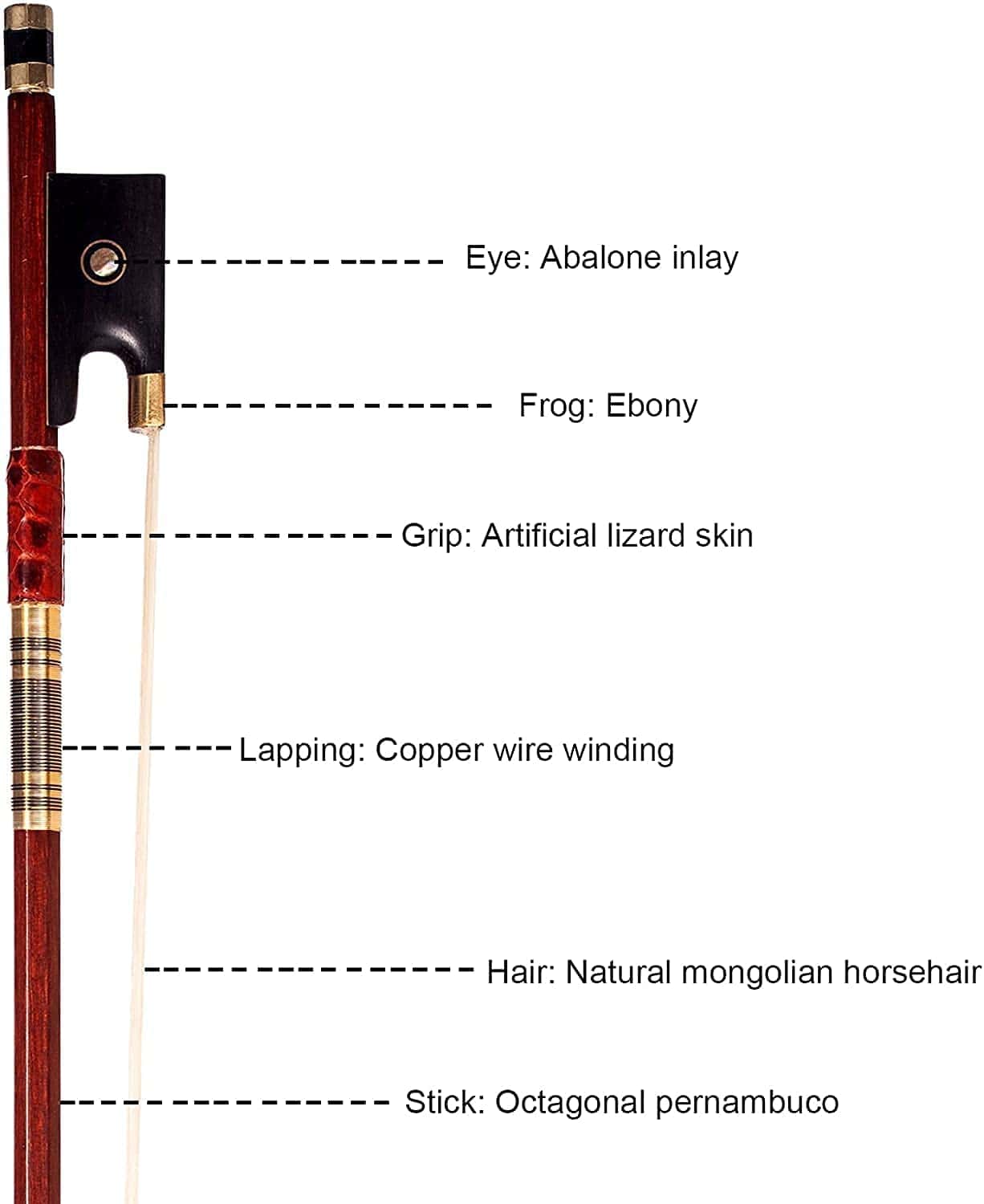 Arco de Violín AMZZ Advance 1/2 Tamaño Pernambuco Palo - Imagen 6