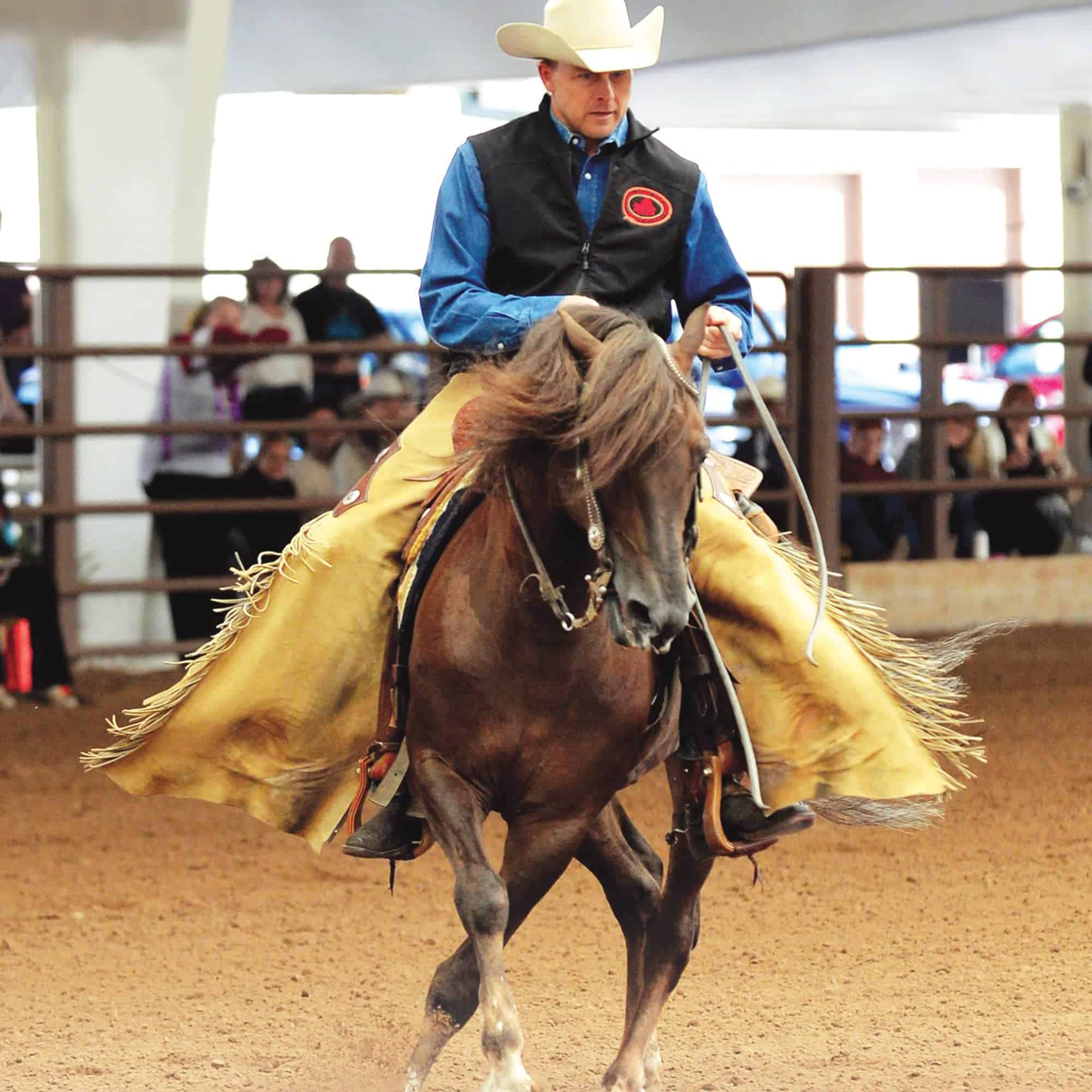 Breyer Horses Traditional Series MorganQuest Native Sun | - Imagen 4