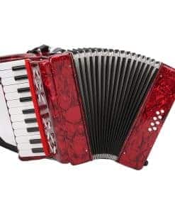 Acordeón de Piano BTER, 8 Bajos 22 Teclas Exquisitamente