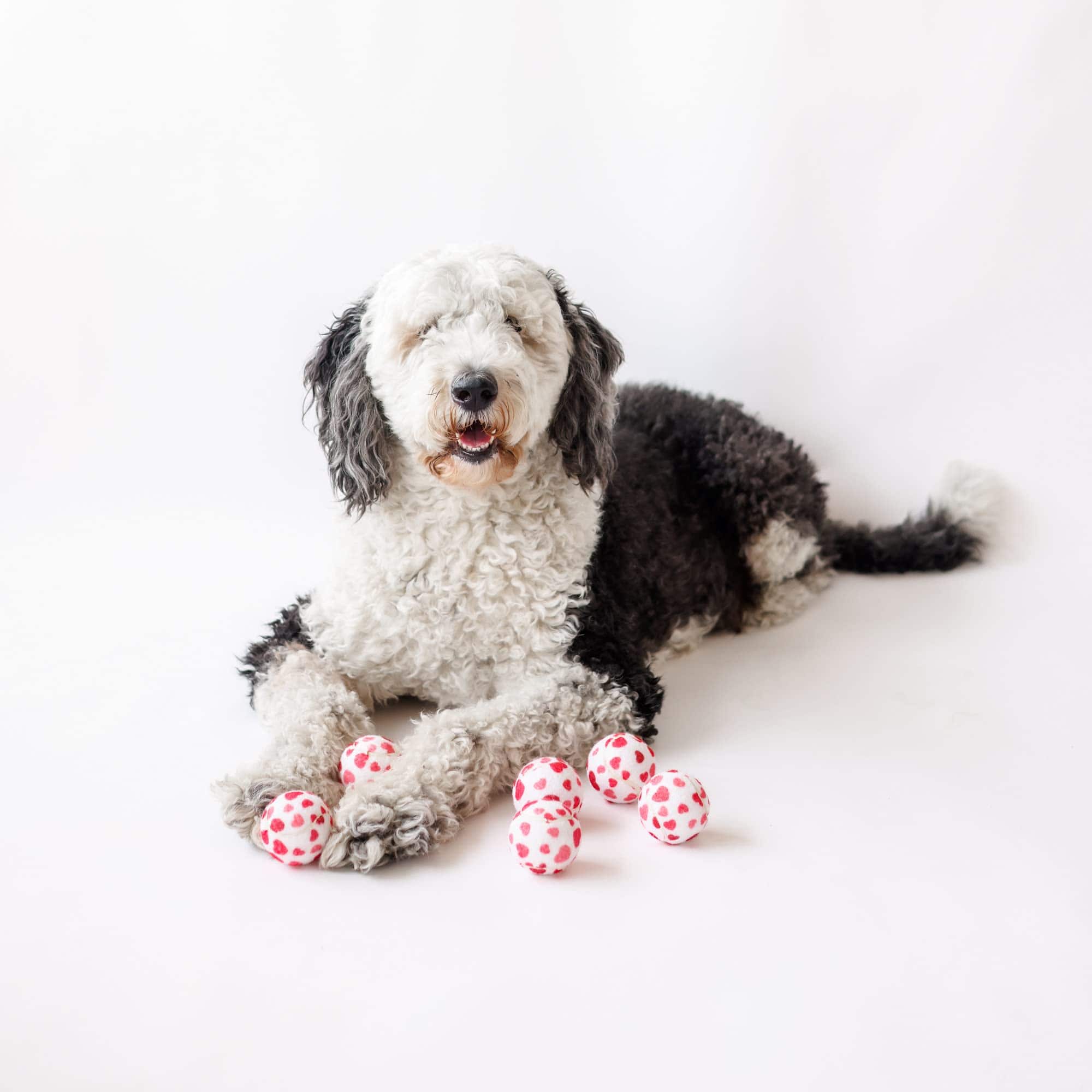 Pelotas de tenis para perros Midlee en forma de corazón de - Imagen 7
