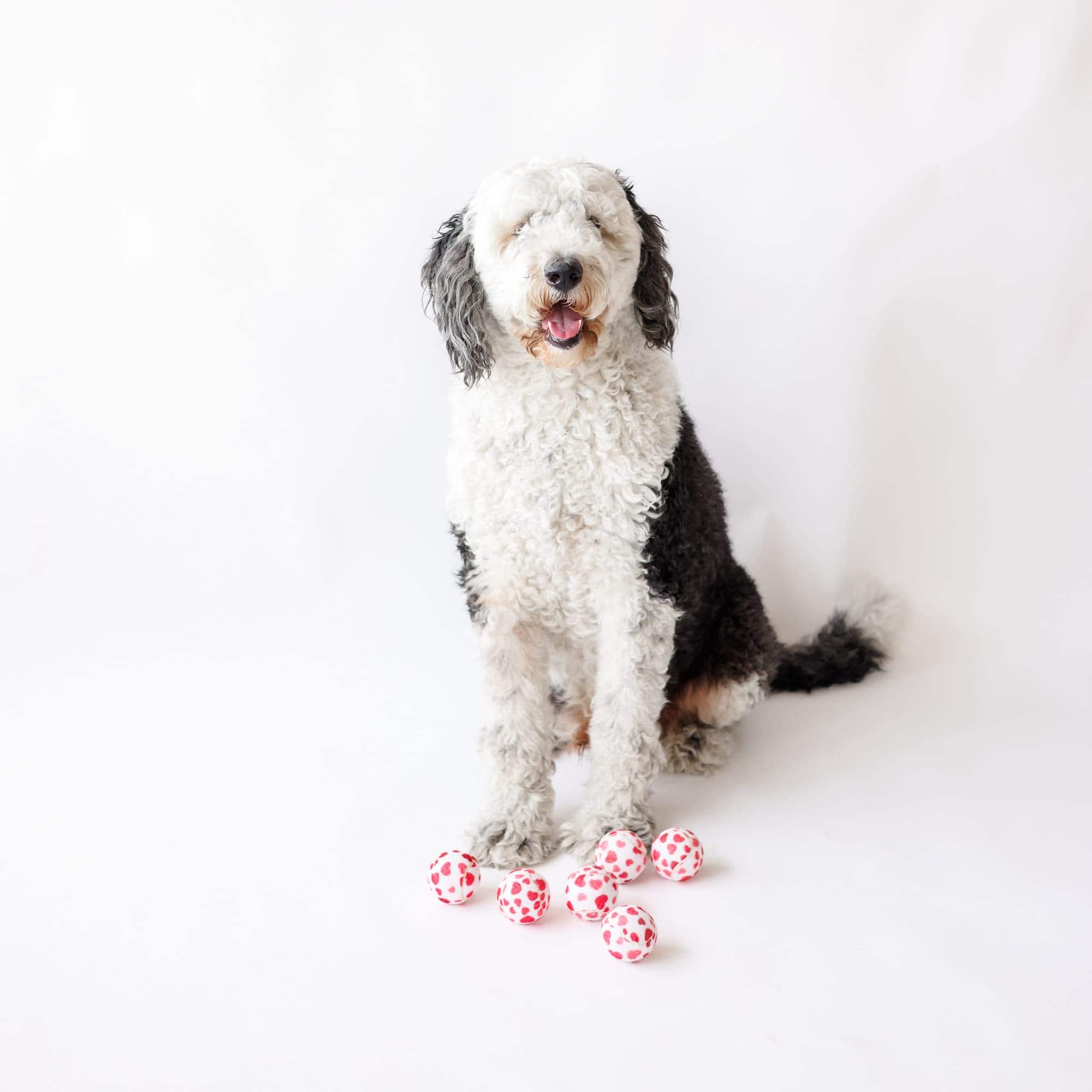 Pelotas de tenis para perros Midlee en forma de corazón de - Imagen 3