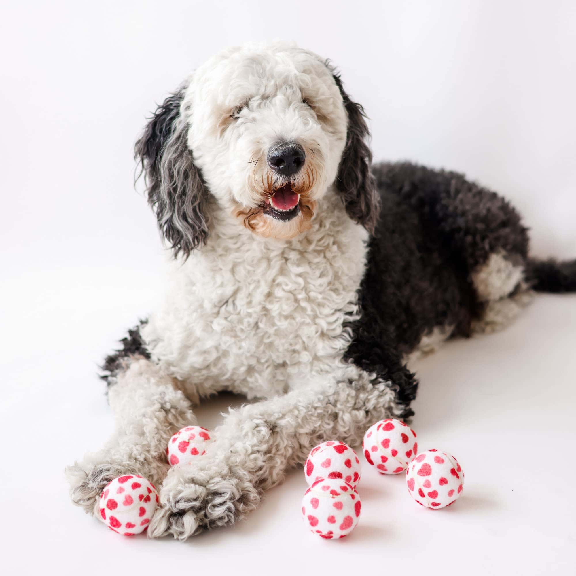 Pelotas de tenis para perros Midlee en forma de corazón de - Imagen 5